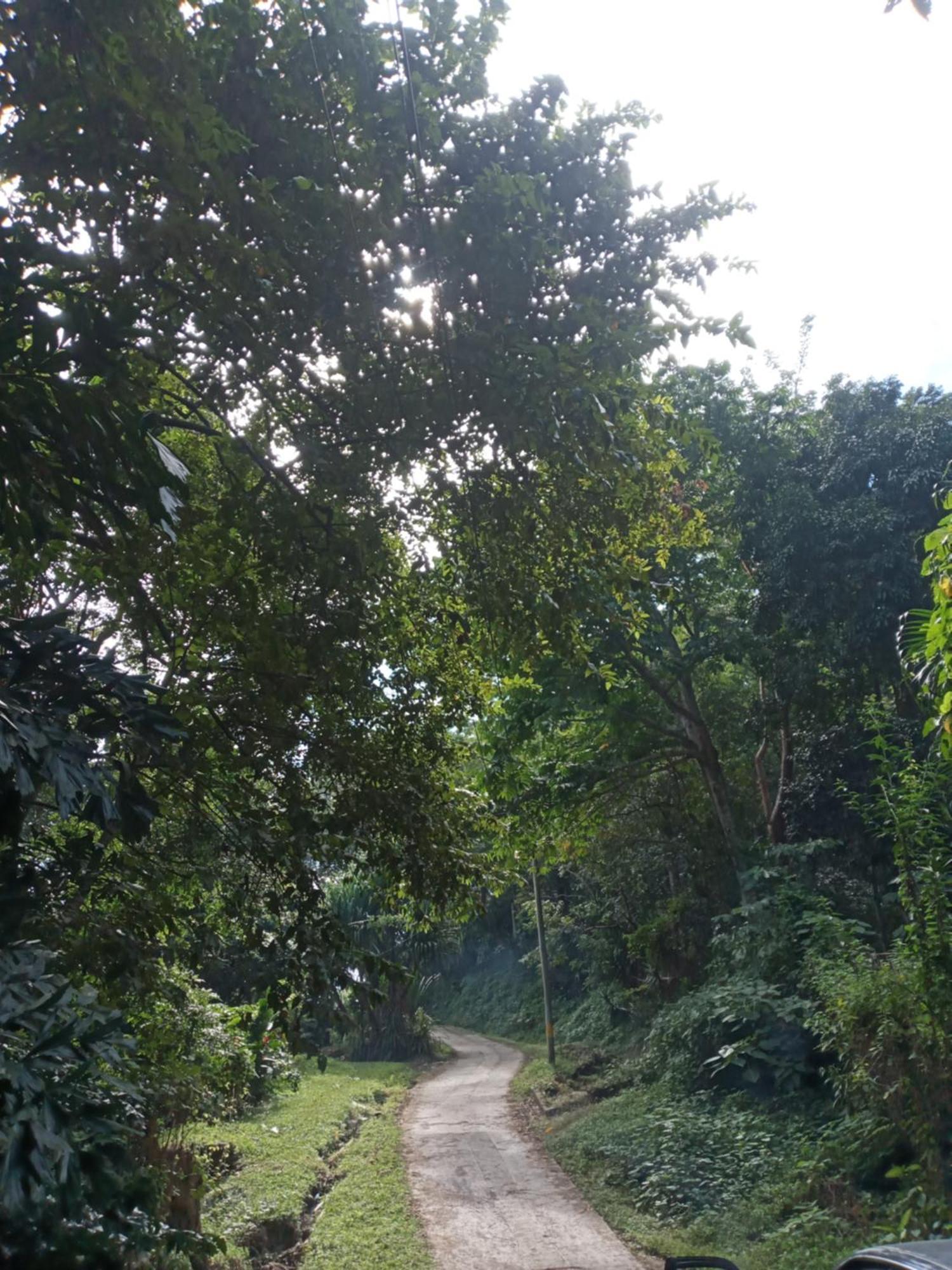 Hostal Juan Lindo San Pedro Sula Dış mekan fotoğraf