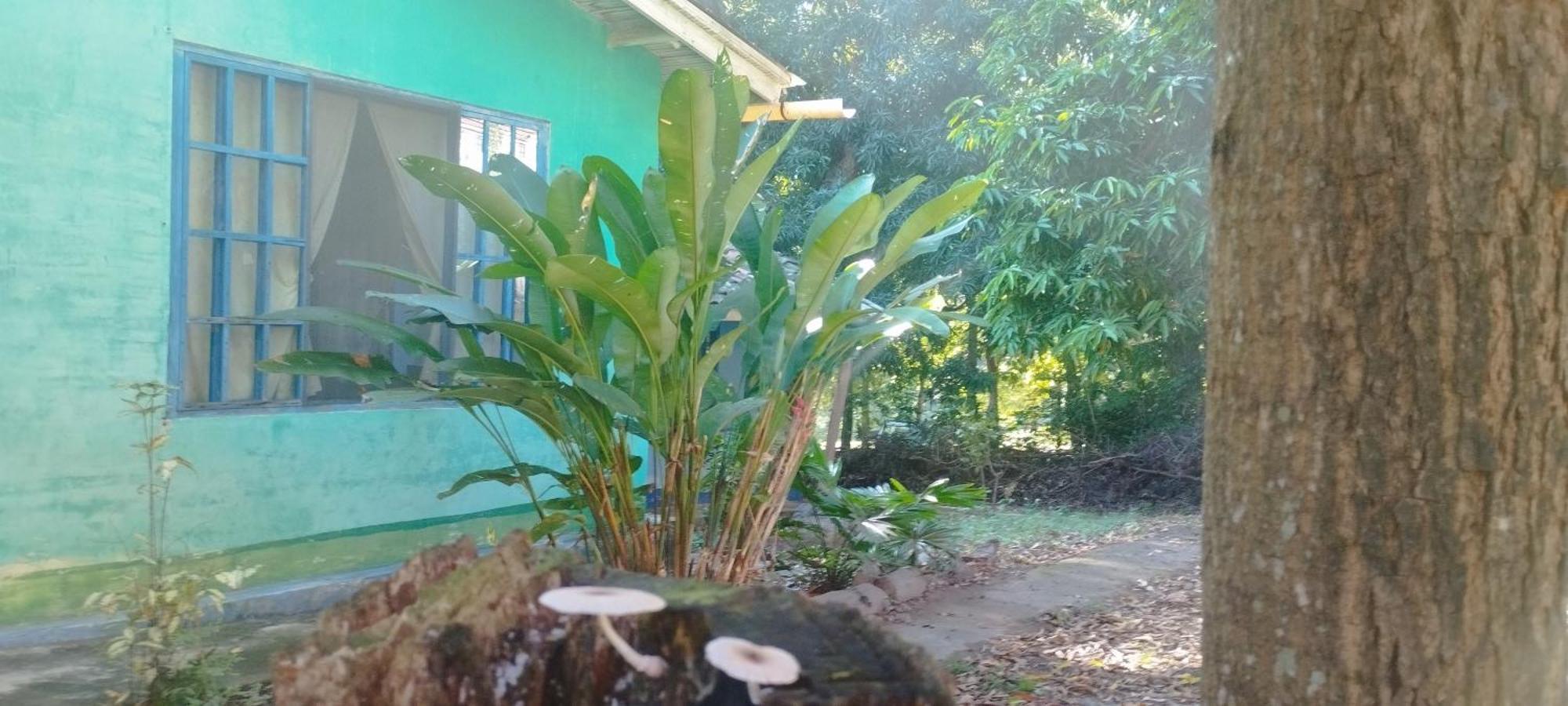 Hostal Juan Lindo San Pedro Sula Dış mekan fotoğraf