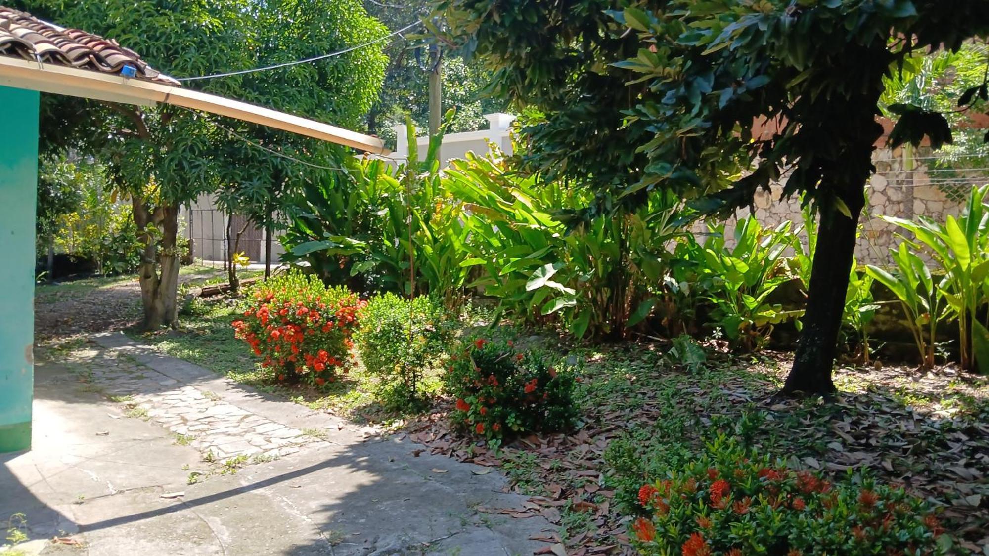 Hostal Juan Lindo San Pedro Sula Dış mekan fotoğraf
