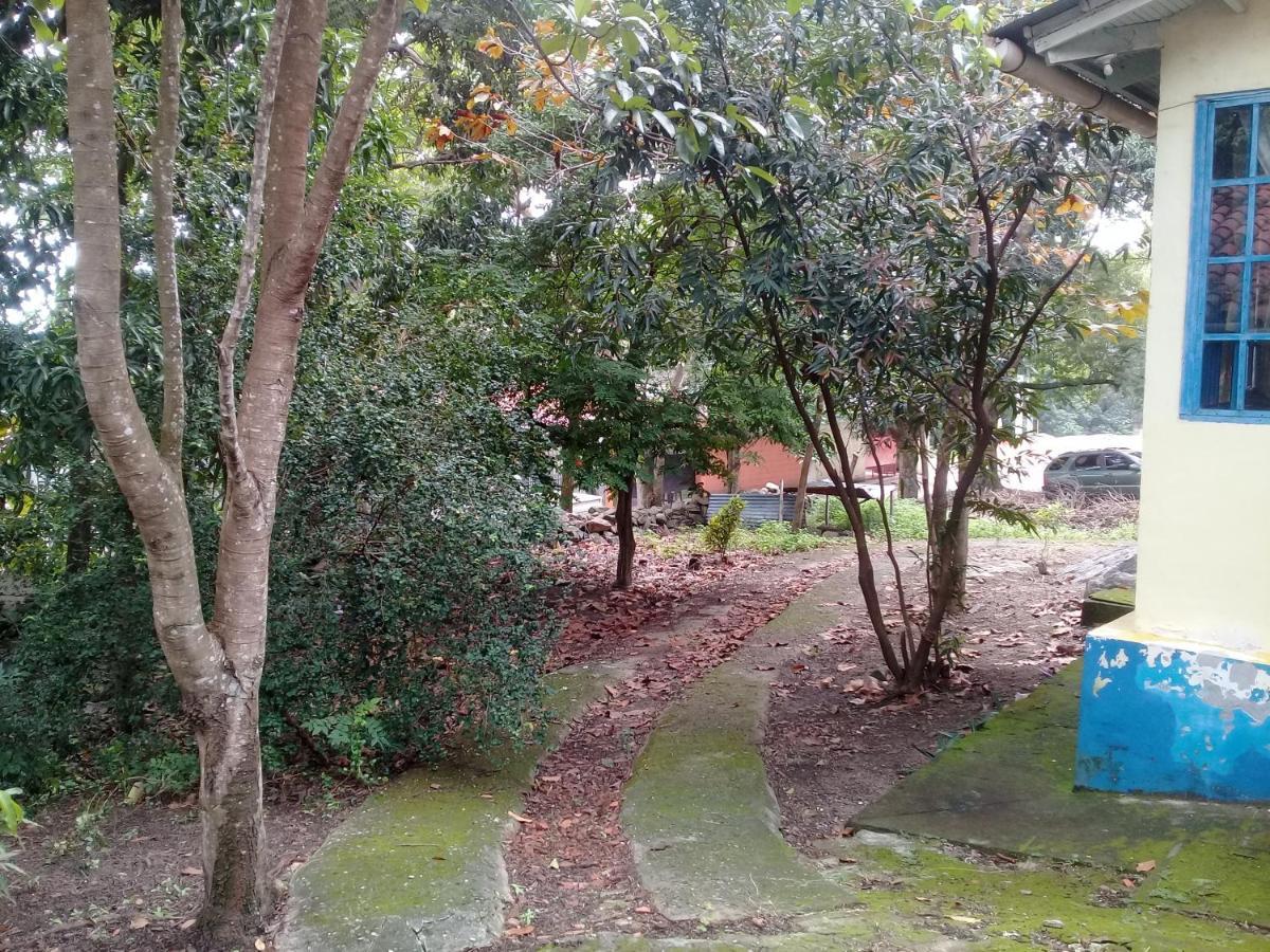Hostal Juan Lindo San Pedro Sula Dış mekan fotoğraf